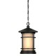 Albright One-Light Outdoor Pendant 6312600 by Westinghouse Lighting